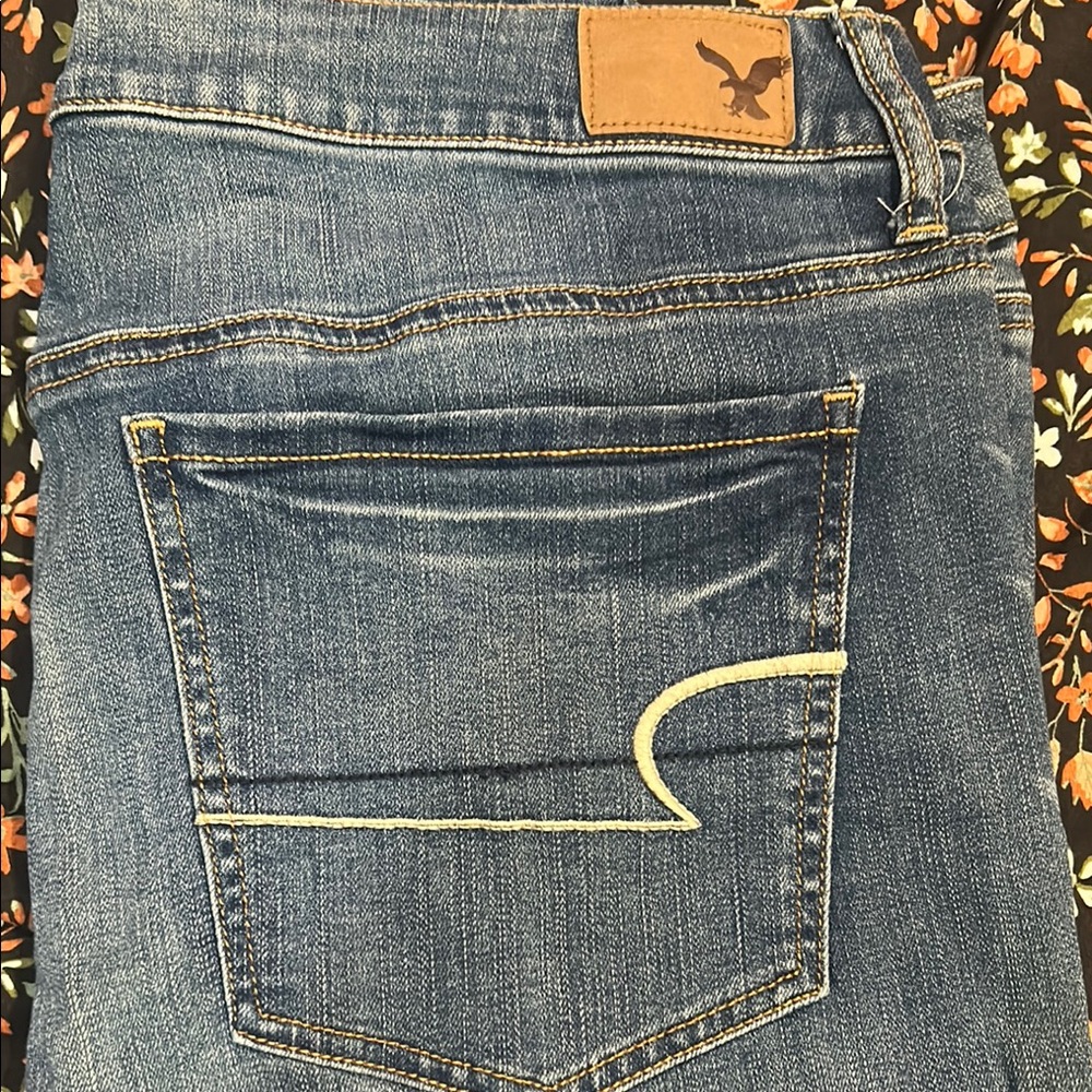 American Eagle Outfitters Blue Denim Jeans with Embroidered Back